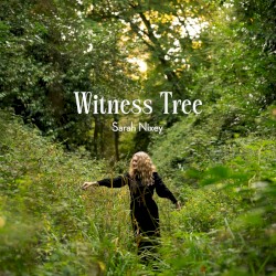 Witness Tree