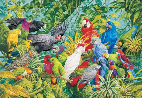 Birdsss