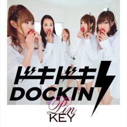 ドキドキDOCKIN’