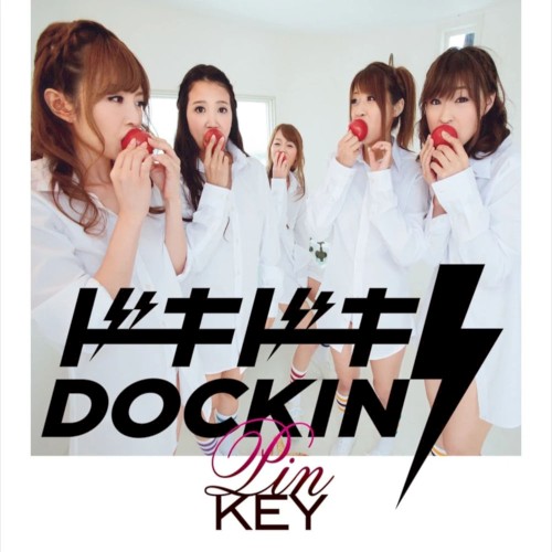 ドキドキDOCKIN’