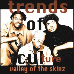 Valley of the Skinz