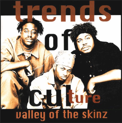 Valley of the Skinz
