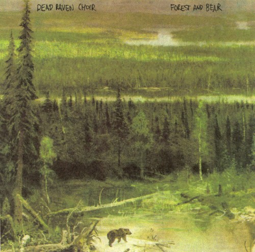 Forest and Bear