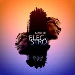 Mixture Elecstro