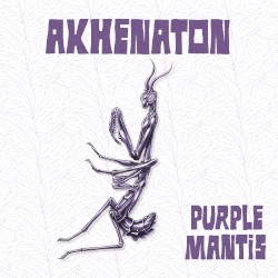 Purple Mantis
