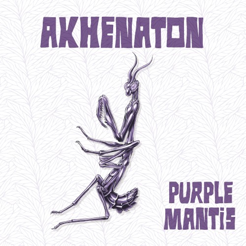 Purple Mantis