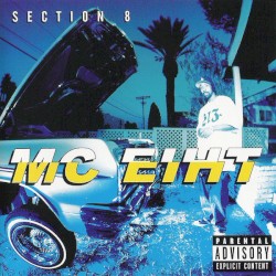 Section 8