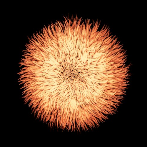 Cosmogonia