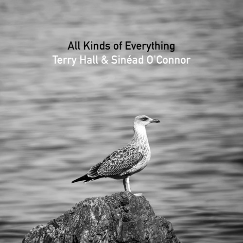 All Kinds of Everything