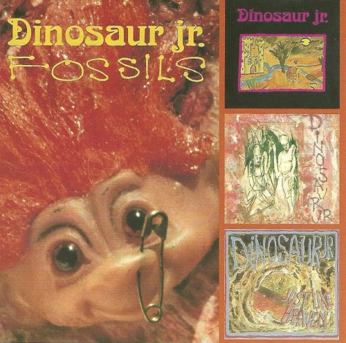 Fossils