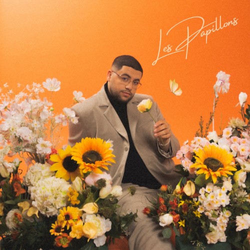 Les Papillons