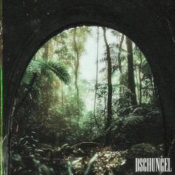 Dschungel