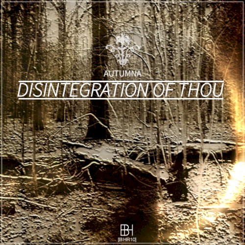Disintegration of Though