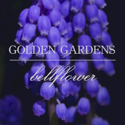 Bellflower