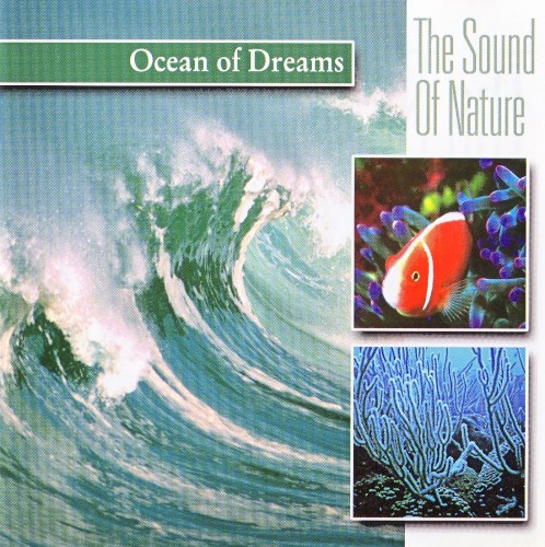 The Sound of Nature: Ocean of Dreams