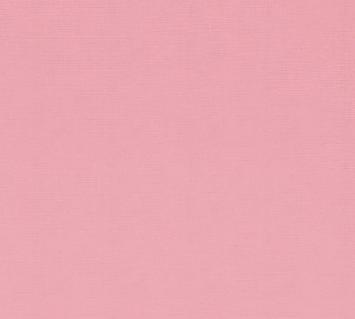 The Pink Album