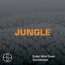 Jungle (Wind Down Soundscape)