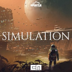 Simulation