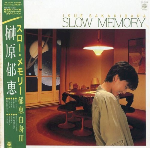 Slow Memory