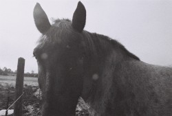 Vasovagal Syncope