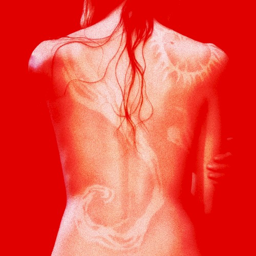 Welcome to My Island (remixes)