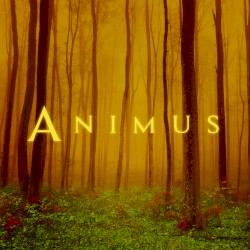 Animus II