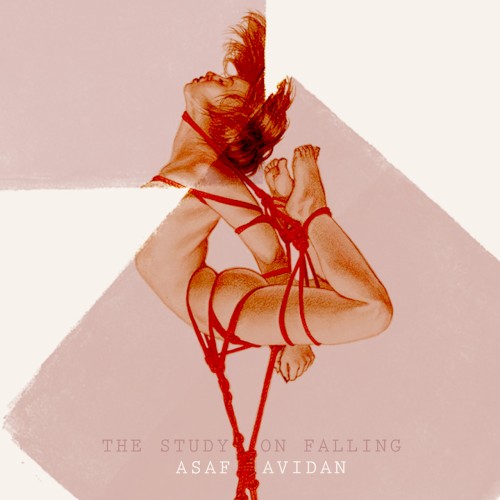 The Study on Falling