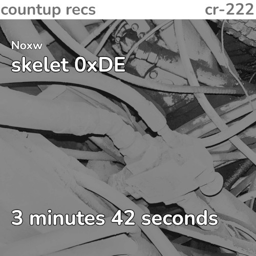skelet 0xDE
