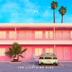 FM (remix album)