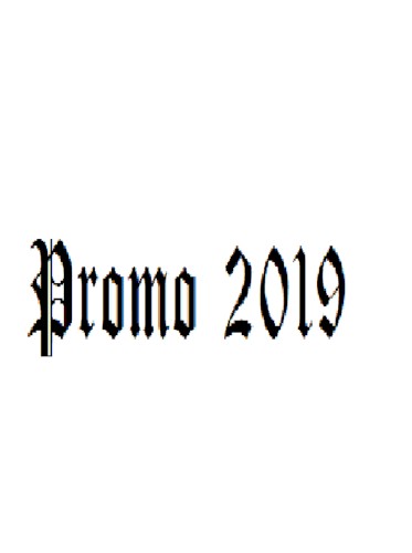 Promo 2019