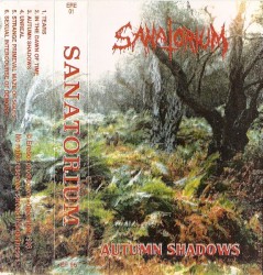 Autumn Shadows