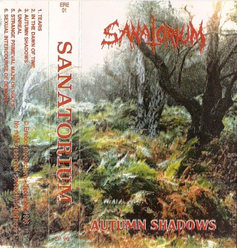 Autumn Shadows