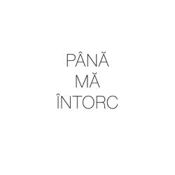 Până mă întorc