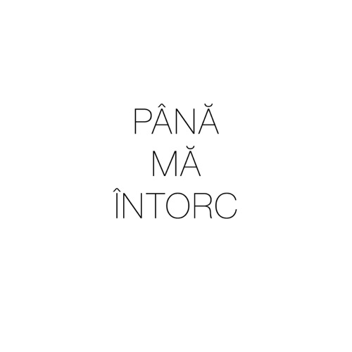 Până mă întorc