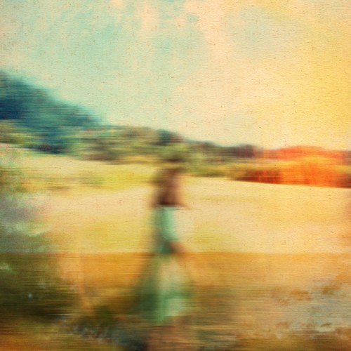 Harmonic Haze