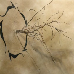 Fragrance of sentence