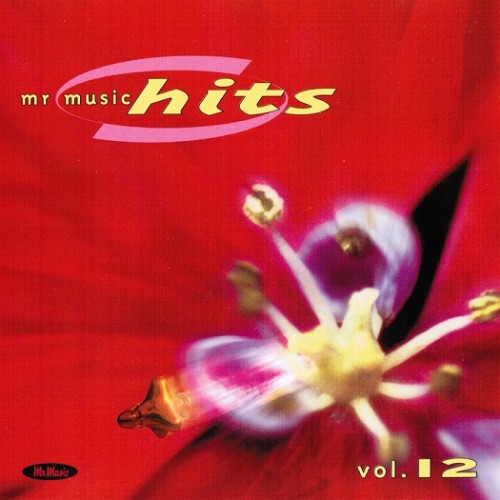 Mr Music Hits 12. 1999