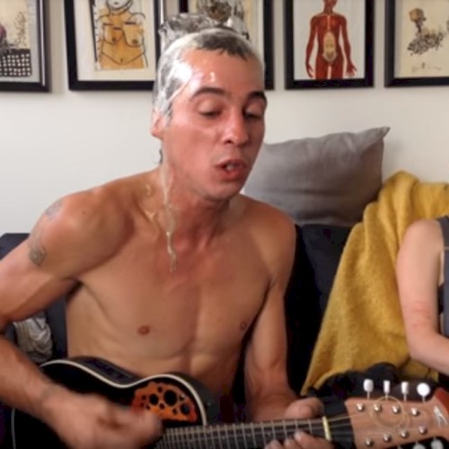 The Delousing Sessions