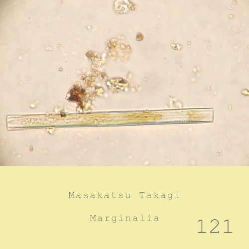 Marginalia #121