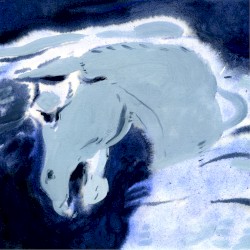 Nine White Moons