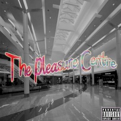 The Pleasure Centre