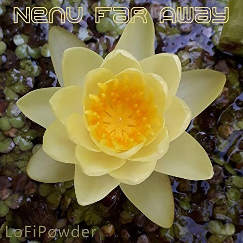 Nenu Far Away