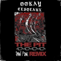 The Pit (Saint Punk Remix)