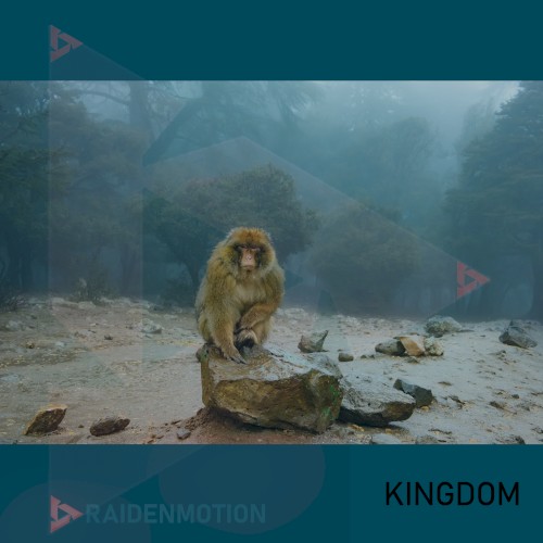 KINGDOM