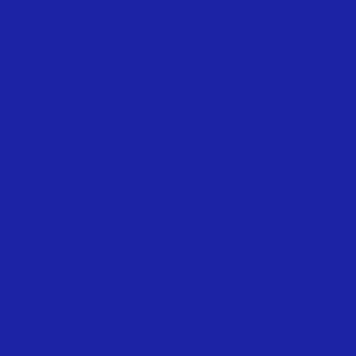 #1b23a5