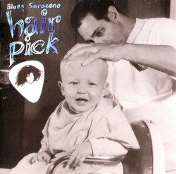 Hair Pick