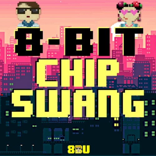 8 Bit Chip Swang