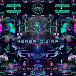 The Nexus Network