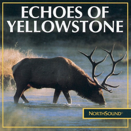 Echoes of Yellowstone