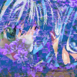 おるとら